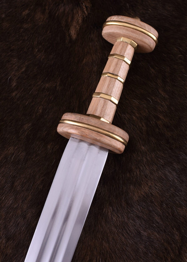 0116201100c_schwert_sword_roman_spatha_podlodow_roemisch Römische Spatha Typ Podlodów m. Scheide, 3. Jh.