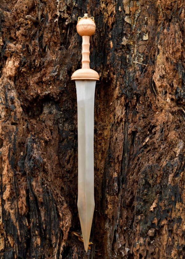 Gladius z Dubravice, rímsky meč s pošvou, 1. storočie