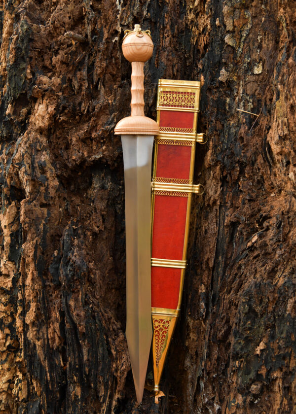 0116203100d_schwert_roemisch_schwertscheide_gladius_dubrabica_mittelalter Gladius z Dubravice, rímsky meč s pošvou, 1. storočie