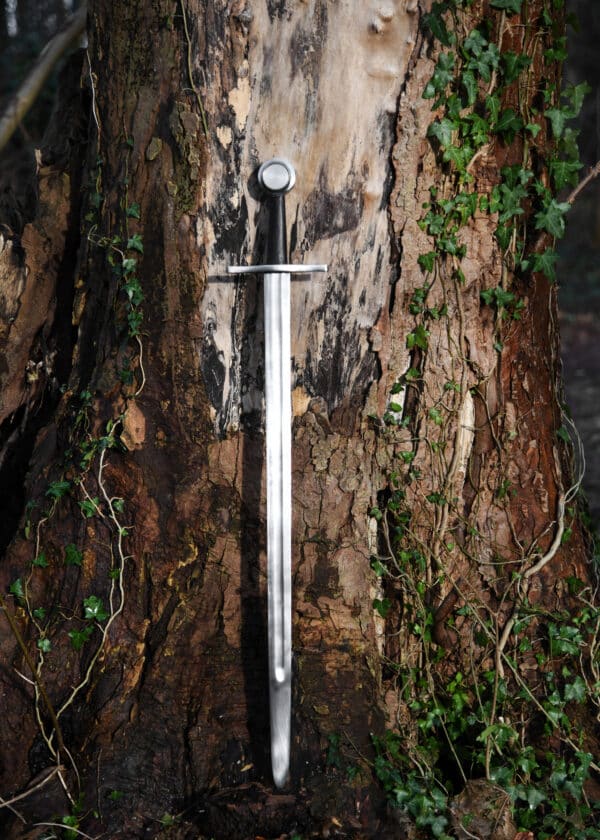 Scheibenknaufschwert mit Scheide