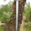 0116702418b_ritterschwert_luebeck_mit_scheide_schwert_mittelalter_sword Lübeck Ritterschwert mit Scheide, 13. Jh.
