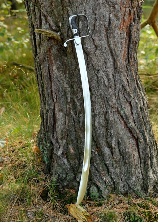 Leichter Kavalleriesäbel von 1796 mit Scheide