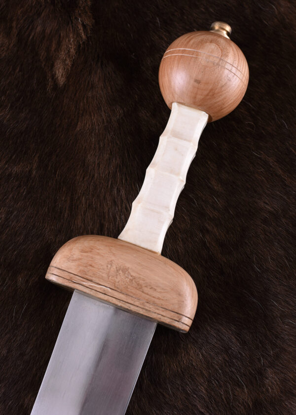 Gladius der römischen Legionäre m. Scheide, 1. Jh.