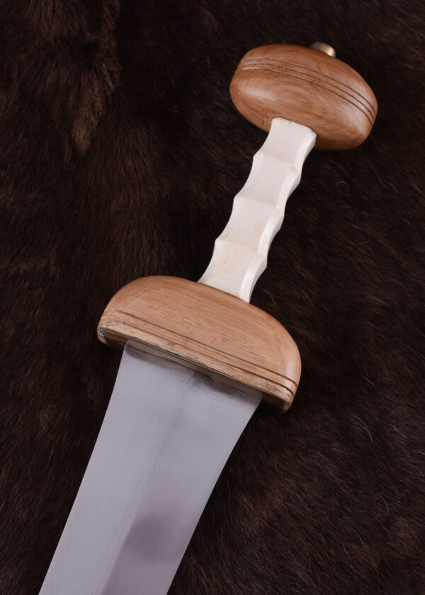 0180010400c_schwert_sword_roman_mainz_gladius_roemisch Römischer Gladius Typ Mainz mit Scheide, 1. Jh.