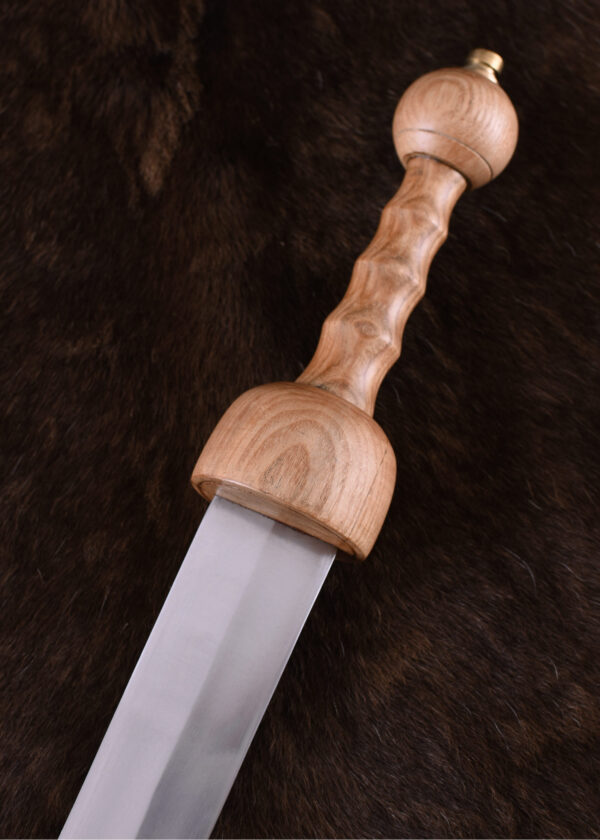 Römischer Gladius Typ Pompeji mit Scheide, 1. Jh.