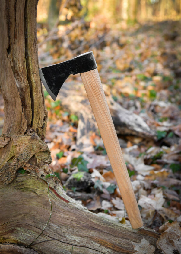 Vikingská sekera, 9. storočie