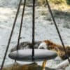Hänge-Pfanne für Dreibein