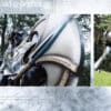 ConQuest – Útok na Doerchgardt