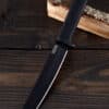 Recon Tanto mit SK-5 Karbonstahlklinge