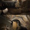 Gold Lion Wakizashi