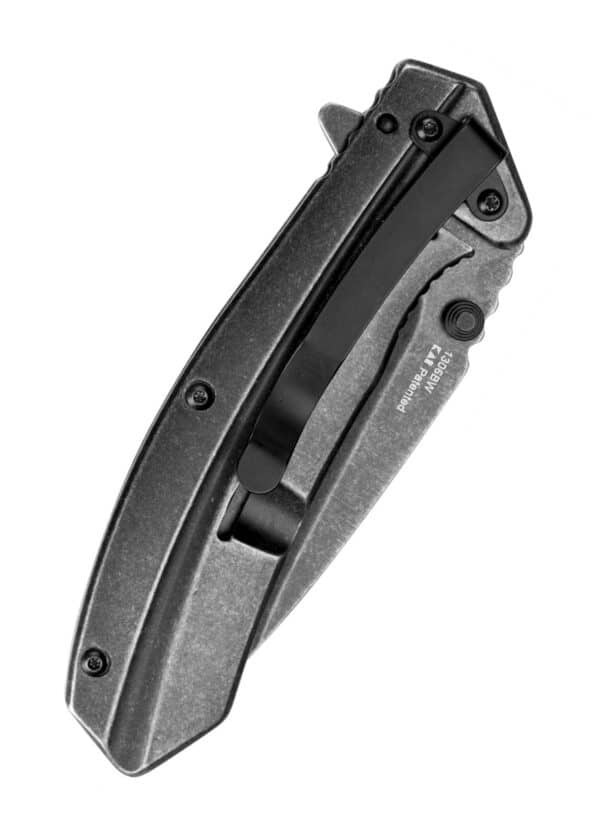 Taschenmesser Kershaw Filter, BlackWash
