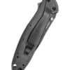 Taschenmesser Kershaw Leek, BlackWash