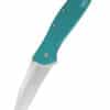Taschenmesser Kershaw Leek, Petrol