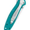 Taschenmesser Kershaw Leek, Petrol