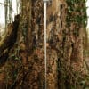Practical Rapier, 109 cm Klinge