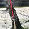 Pudao, Chinesische Stangenwaffe