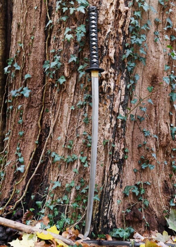 Practical Plus Katana