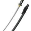 Practical Plus Wakizashi