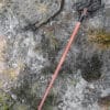 Solingen Rapier, Antikversion