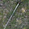 Solingen Rapier, Antikversion