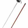 Gustav II. Rapier, Antikversion
