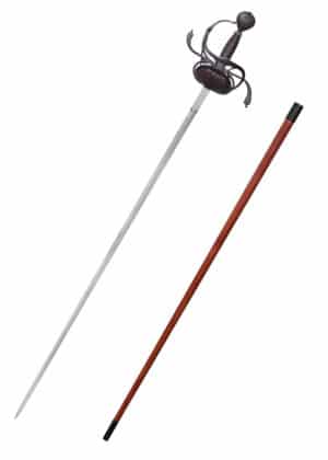 Gustav II. Rapier, Antikversion