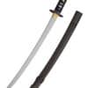Raptor Wakizashi