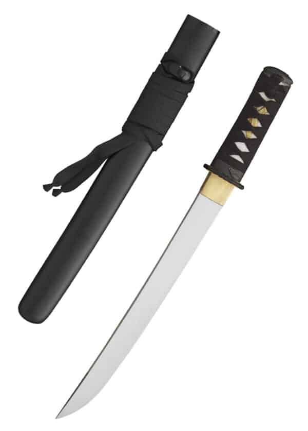 Raptor Tanto