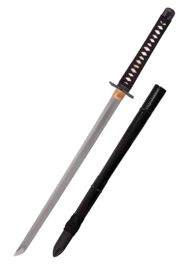 Iga Ninja-To