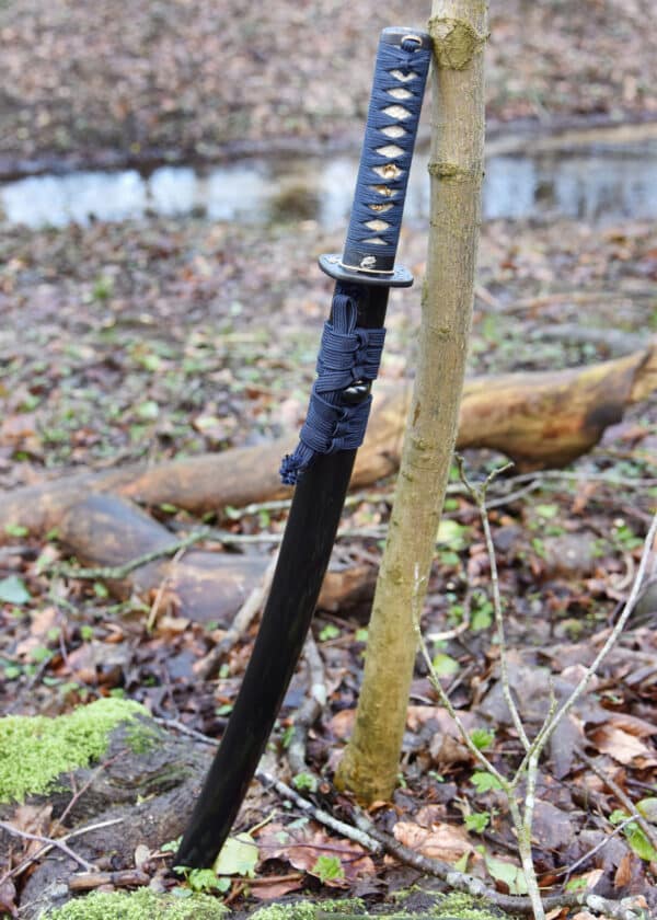 Kaeru (Frosch) Wakizashi