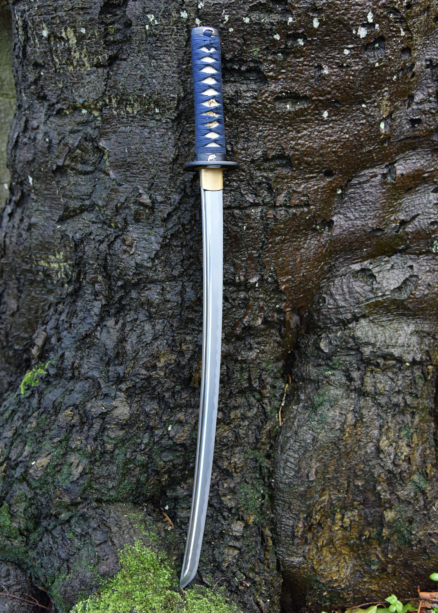 Kaeru (Frosch) Wakizashi