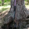 Hanwei Tonbo Katana