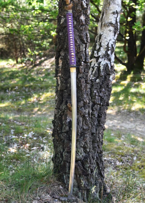Hanwei Tonbo Katana