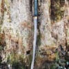 Hunter Katana