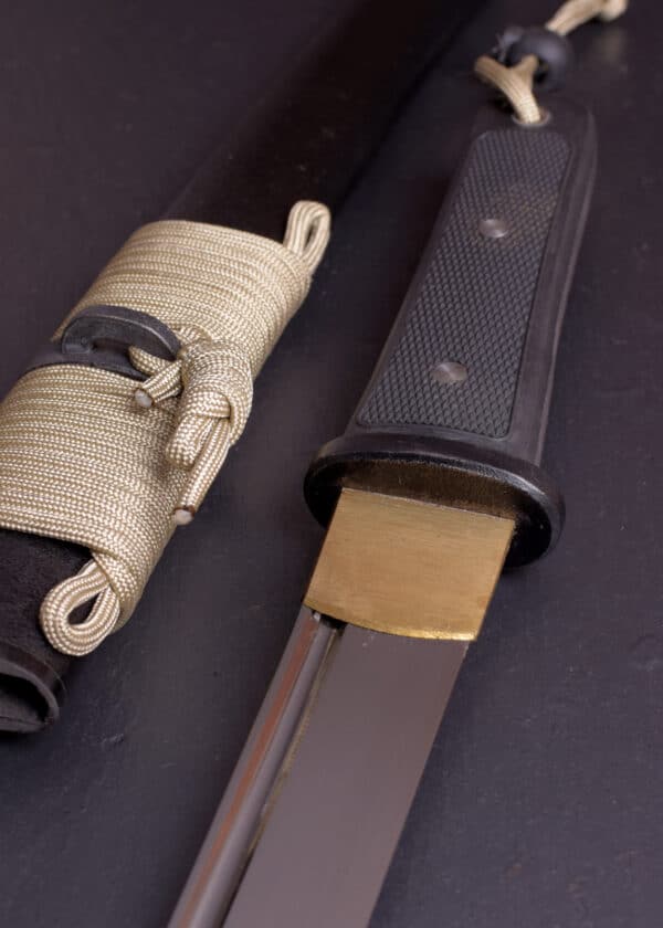 Tactical Tanto
