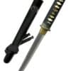 Wind and Thunder Tanto