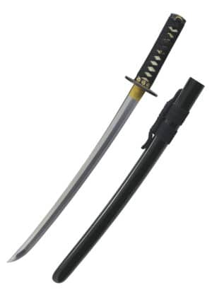 Wind and Thunder Wakizashi