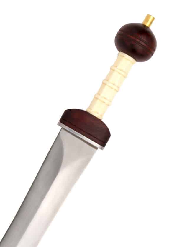 Mainz Typ Gladius, Windlass