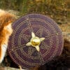 Schottische Targe aus der Schlacht von Culloden