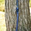 Dragon King Sea Wave katana