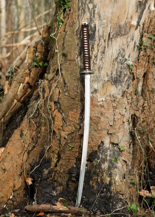 Dragon King Tatsumaki Katana