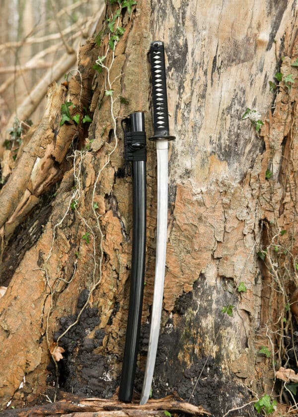 Dragon King Kohaku katana