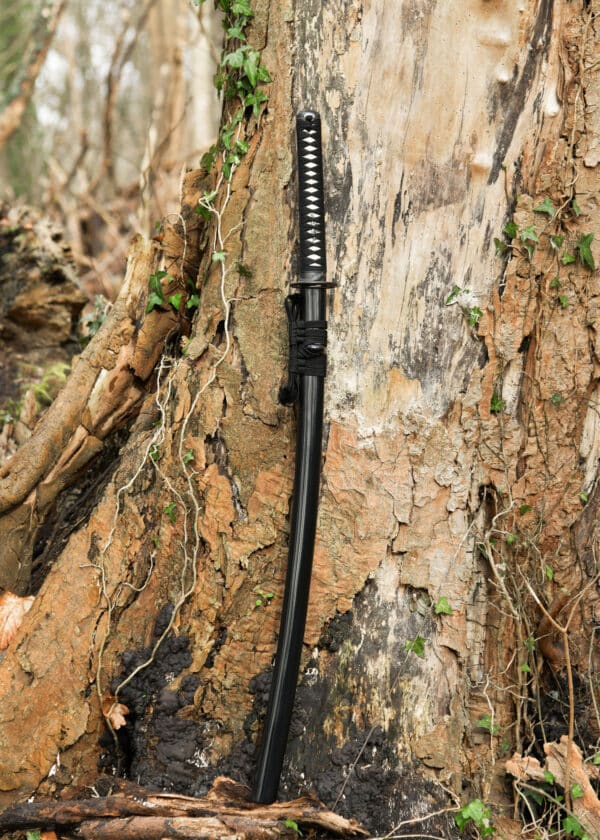 Dragon King Kohaku katana