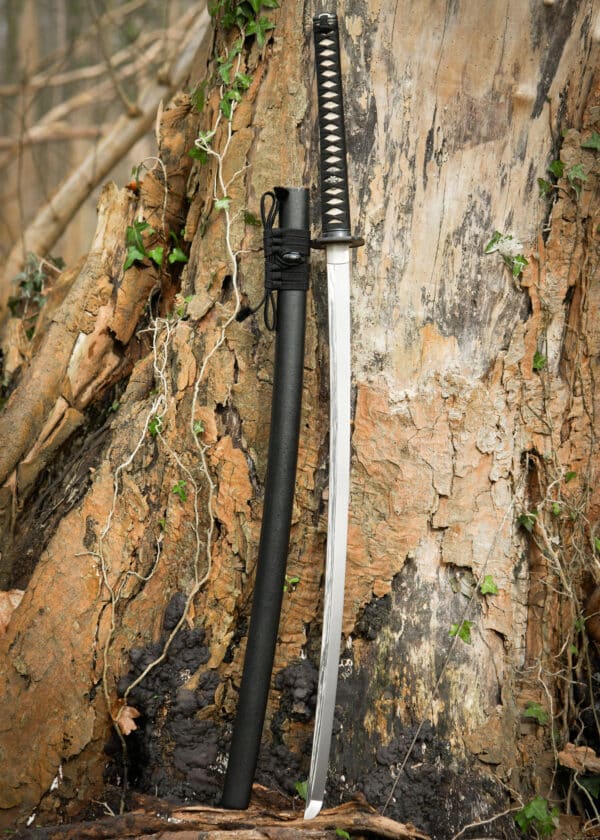Dragon King Zimná katana