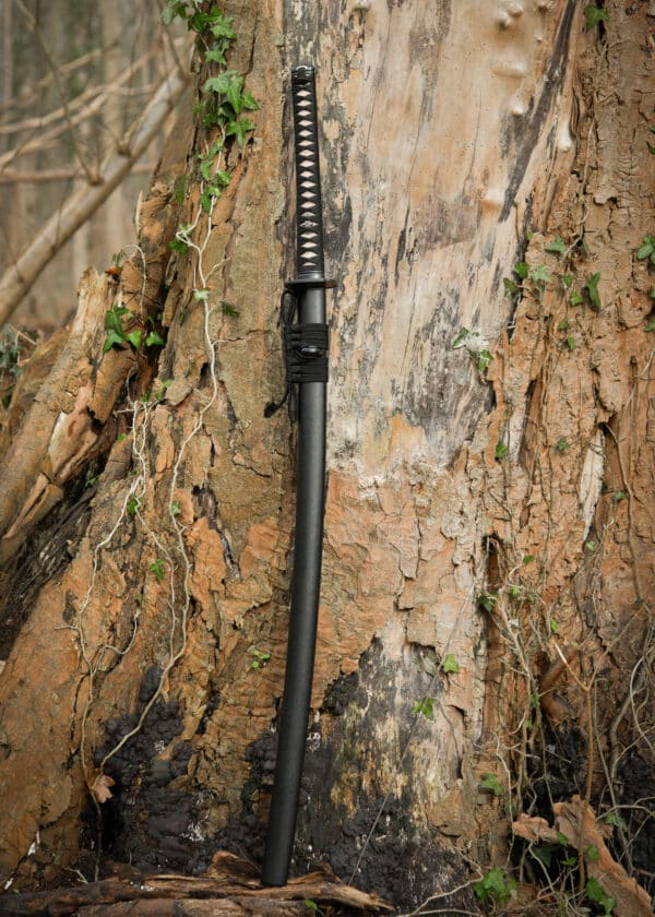 Dragon King Zimná katana
