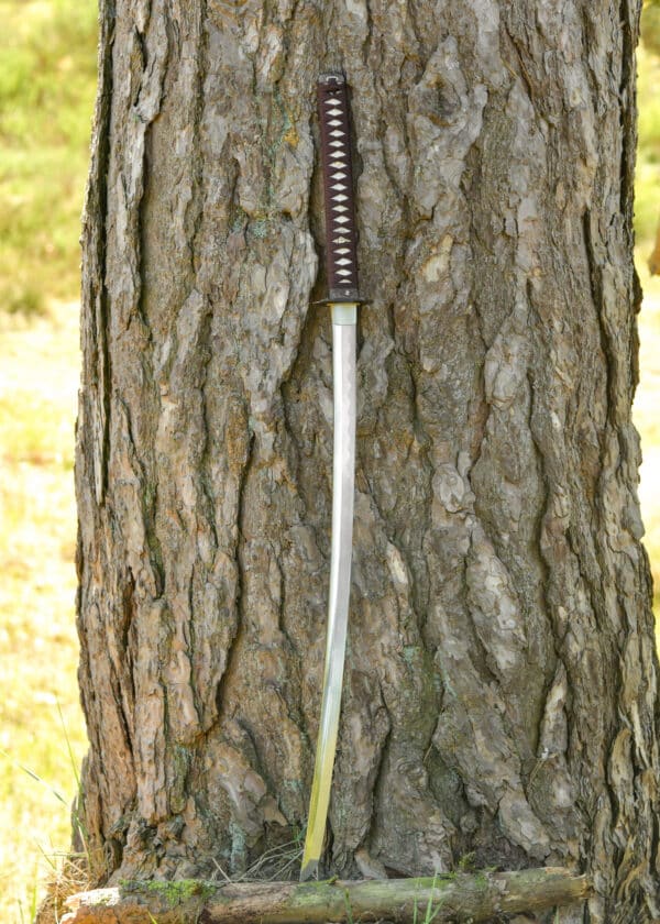Dragon King Tenka Fubu Katana