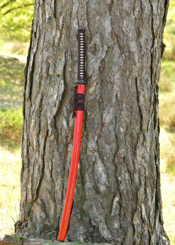 Dragon King Tenka Fubu Katana