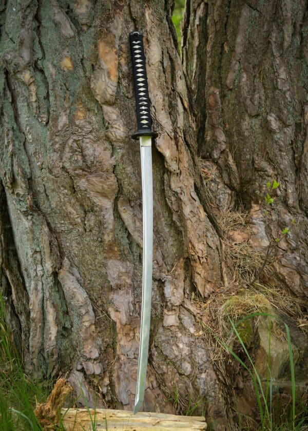 Katana Dragon King Savior