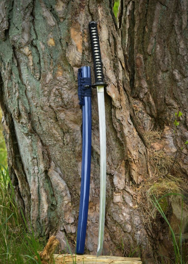 Katana Dragon King Savior