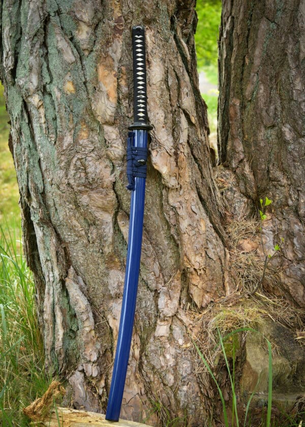 Katana Dragon King Savior